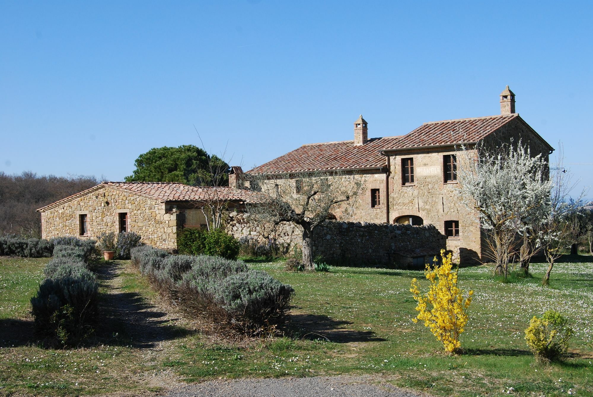 Agriturismo Pianoia Pienza Exterior photo